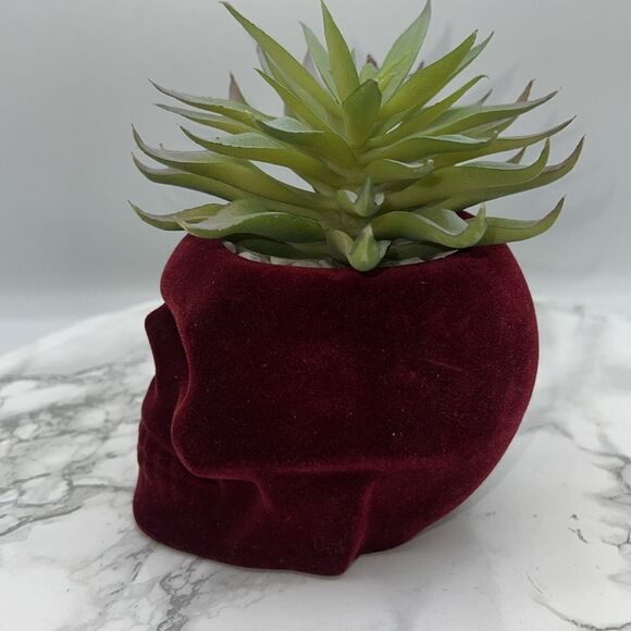 FLORA BUNDA Flocked Velvet Skull Planter with Artificial Succulent - Picture 6 of 7
